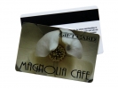 Magstrip Card 2